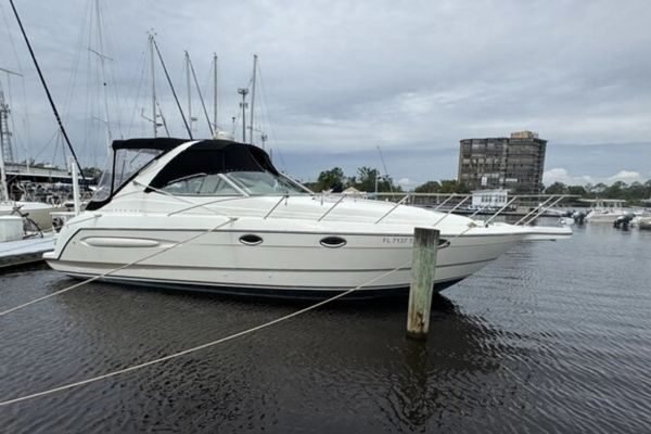 Untitled design - 2024-11-01T191835.412